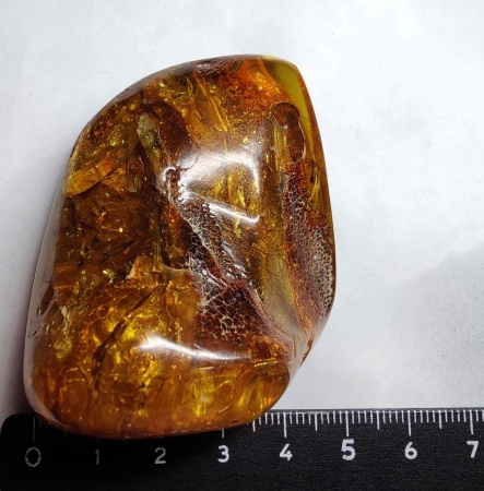 AAM0018 Янтарь с инклюзом Macrochile baltica «Луна и Солнце»