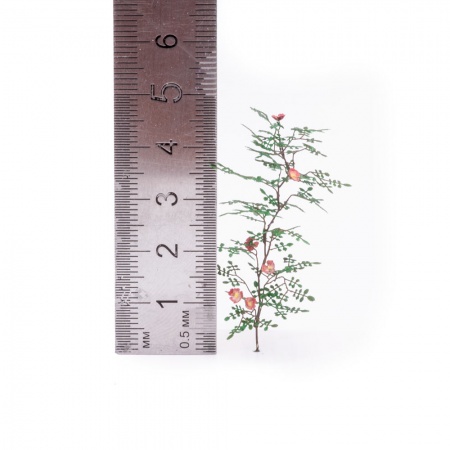 S-183 Шиповник, размер L MiniWarPaint