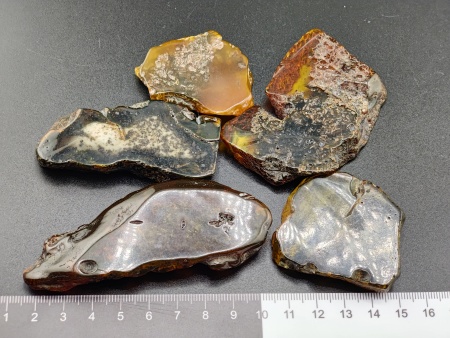 AAM0036 Спилы янтаря 