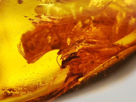 AAM0015 Янтарь с многочисленными инклюзами  «Муха Зеленуха»