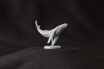 AM35023 Горбатый кит