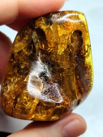 AAM0018 Янтарь с инклюзом Macrochile baltica «Луна и Солнце»