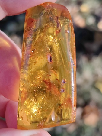 AAM0013 Янтарь с инклюзом «У ручья». Вес 14 грамм, 2 ручейника, 4 комара, тля, колемболла и бутон цветка! 