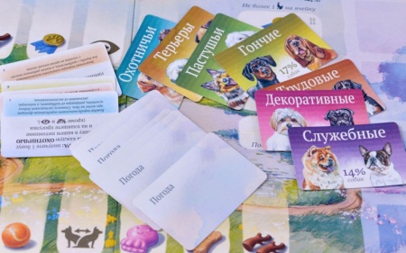 915537HW Прогулки с собаками