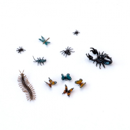 S-242 Насекомые, размер M