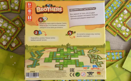 840908FI Братья (на русском языке)