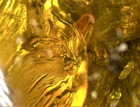 AAM0009 Янтарь с многочисленными инклюзами «Каждой твари по паре». 2 ручейника, 2 паука, 4 двукрылых, клещ, отпечаток гигантского таракана(?)  в большом красивом камне.