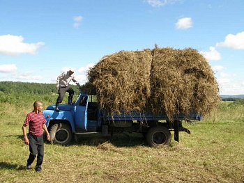HE-35228 Флок "солома" 30гр HE-35228 Флок "солома" 30гр