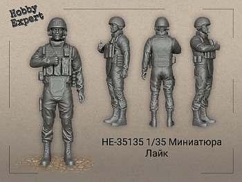 HE-35135 Миниатюра лайк