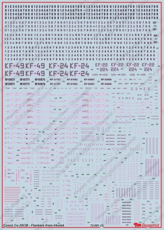 72081B Сухой Су-30СМ