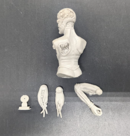 MR-AM05 Бюст Cybhell Alternity Miniatures