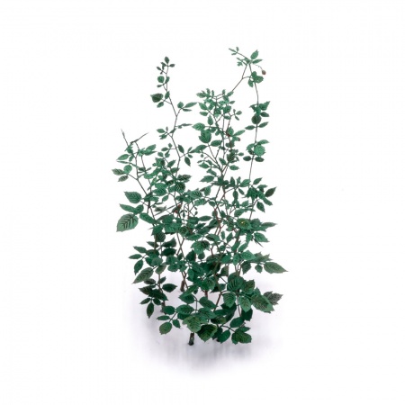 S-245 Ветви малины , размер L