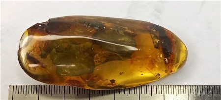 AAM0009 Янтарь с многочисленными инклюзами «Каждой твари по паре». 2 ручейника, 2 паука, 4 двукрылых, клещ, отпечаток гигантского таракана(?)  в большом красивом камне.