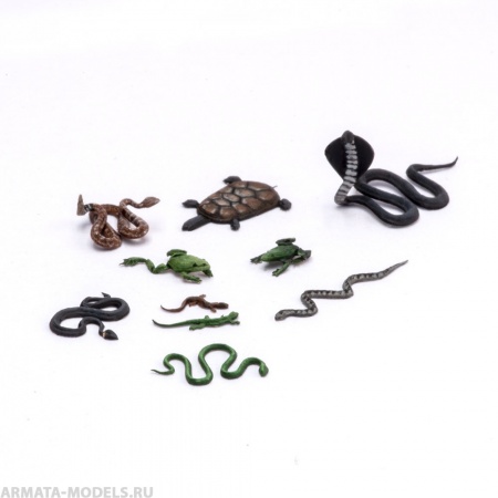 S-240 Рептилии , размер М