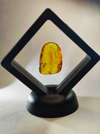 AAM0015 Янтарь с многочисленными инклюзами  «Муха Зеленуха»