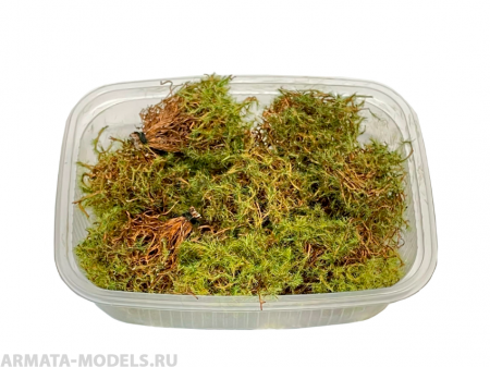 3063/5 Кусты лето, микс.8шт.  (еловые)