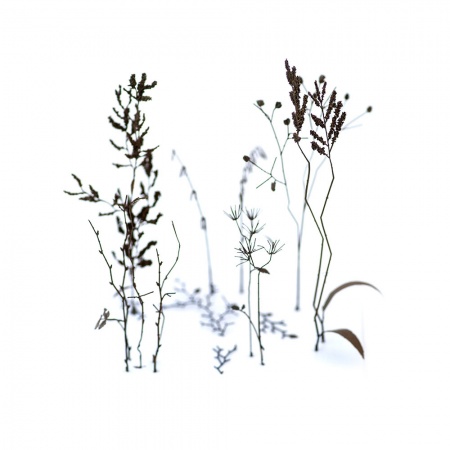 S-234 Зимние ветки, размер L