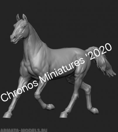 CHM-54206. Животные: Лошадь №16. 54 мм. Материал - смола. Chronos Miniatures