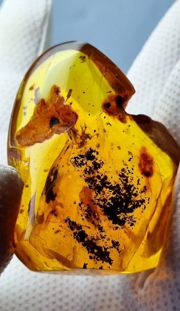 AAM0007 Янтарь с многочисленными инклюзами «Паучье логово». 6 пауков и другие насекомые в большом красивом камне.