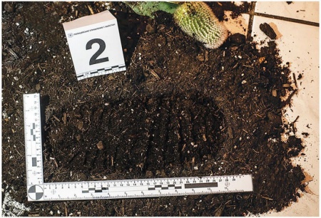 915528HW Детективные истории Роковая Антарктика