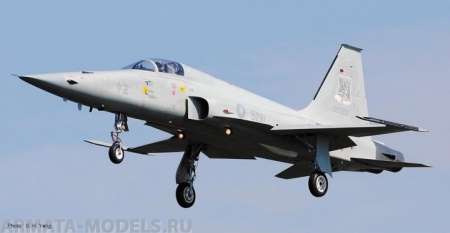 08243 Самолет	Northrop F-5E Tiger II Taiwan Air Force Hasegawa