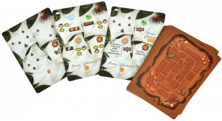 915780HW Эверделл: Туманный лес