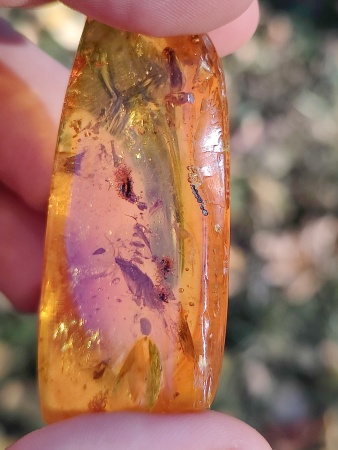 AAM0013 Янтарь с инклюзом «У ручья». Вес 14 грамм, 2 ручейника, 4 комара, тля, колемболла и бутон цветка! 