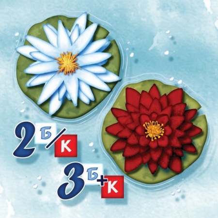 915882HW Кохаку