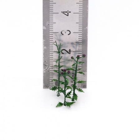 S-179 Чертополох, размер M MiniWarPaint