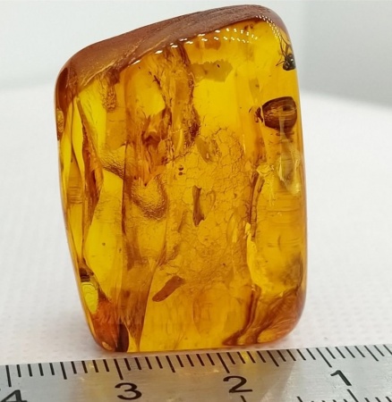 AAM0010 Янтарь с многочисленными инклюзами «Микромир». 2 комара, муха, 6(!) клещей в шикарном камне.