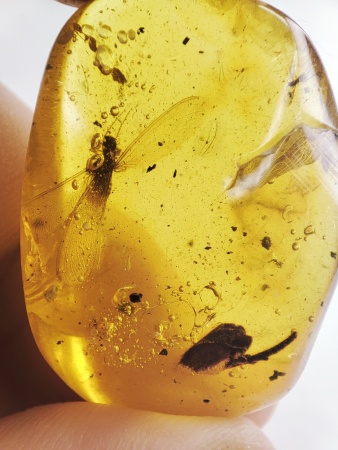 AAM0016 Янтарь с инклюзами «Термит»