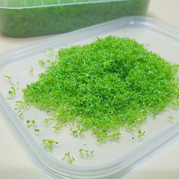 5739 присыпка хвоя, 200 мл, яркий желто-зеленый 5739 присыпка хвоя, 200 мл, яркий желто-зеленый