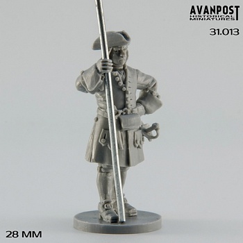 31.013АП Пикинёр