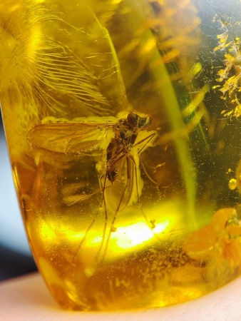 AAM0015 Янтарь с многочисленными инклюзами  «Муха Зеленуха»