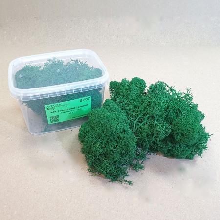 5707 мох стабилизированный - 30 г - ирландский зеленый