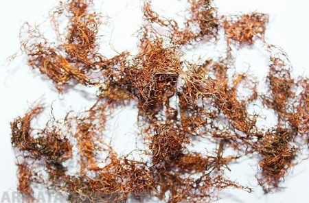 3095 Мох стабилизированный, зелёный