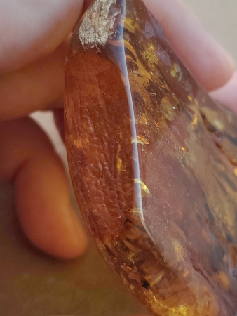 AAM0012 Янтарь с многочисленными инклюзами Охотничье угодье. 43 грамма! 