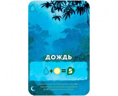 915464HW Амазония