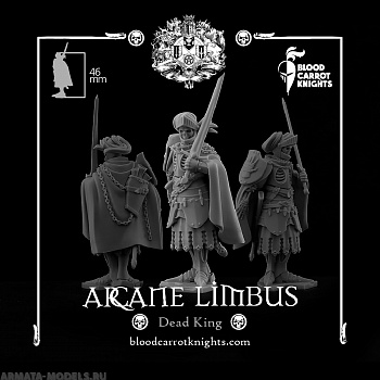 BCK-WG-017 Мёртвый король | Игровая миниатюра 32 мм