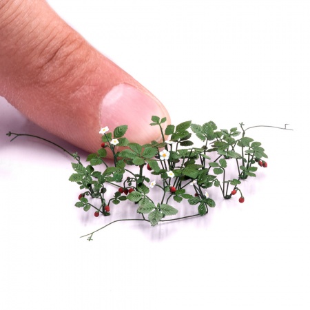 S251MWP Клубника, размер L