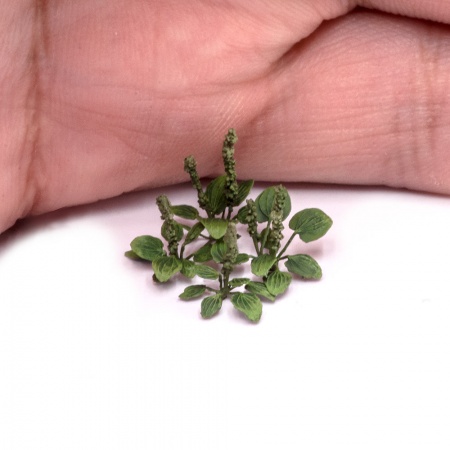 S184MWP Подорожник, размер М