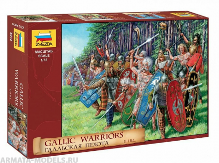 8012 Гальская пехота Звезда