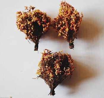 35019/2 Кусты осень 5 шт. Вар 2