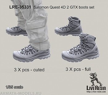 LRE35331 Набор коссовок Salomon Quest 4D 2 GTX boots set