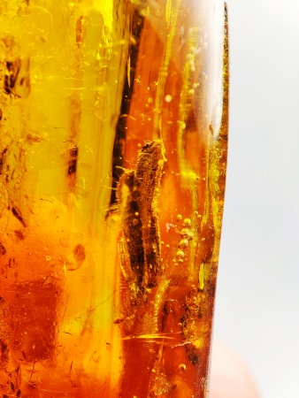 AAM0019 Янтарь с инклюзом "Два листика"