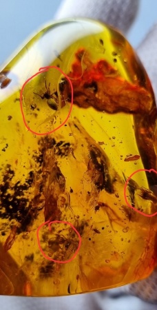 AAM0007 Янтарь с многочисленными инклюзами «Паучье логово». 6 пауков и другие насекомые в большом красивом камне.