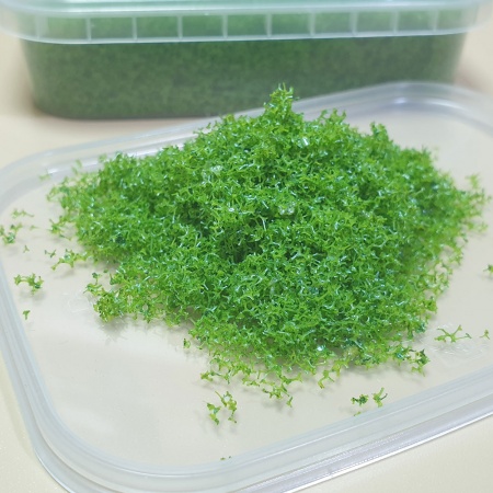 5745 присыпка хвоя, 200 мл, мусульманский зеленый