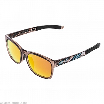 Очки поляризационные в жест.чехле (N-OP-TF2038-O) Nisus