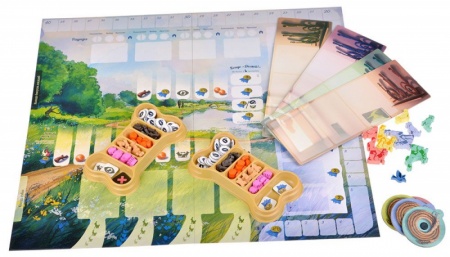 915537HW Прогулки с собаками