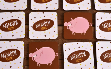 ТК008FI Мемори Ферма (на русском языке)